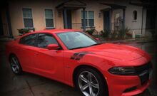 CHARGEUR Hash Stripes 2015 2016 2017 MOPAR SRT SCAT PACK 392 Dodge 2018 2012 Scatpack 2