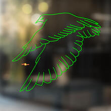 Autocollant vinyle universel Falcon Bird_3