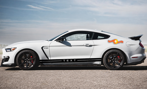 Autocollant vinyle personnalisé bandes latérales bas de caisse panneau de porte capot pour Musclecar Musclecarmodel GT500