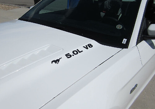 Musclecar Musclecarmodel 5.0 V8 AVEC PAIRE D'AUTOCOLLANTS DE CAPOT DE PONEY 2011 - 2020 AUTOCOLLANT EN VINYLE