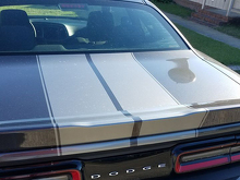 Kit de stickers bande rallye 16 pièces pour Dodge Challenger 2015 et plus 2