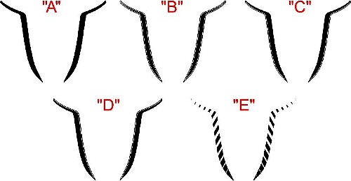 2015 et plus Dodge Charger SRT / HELLCAT Hood Spear Accent Stripe Kit