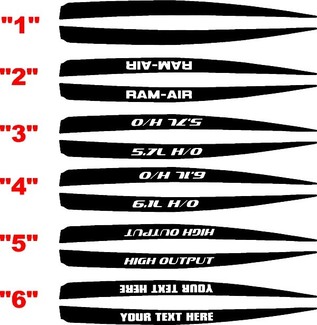 2006-2010 Kit de décalcomanies latérales de lance de capot de chargeur Ram-Air