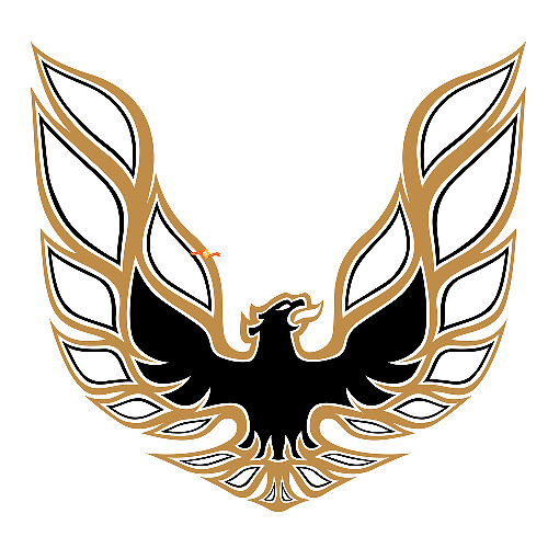 Autocollant en vinyle pour capot Firebird pour Pontiac