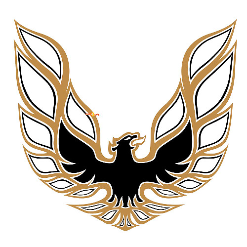Autocollant en vinyle pour capot Firebird pour Pontiac