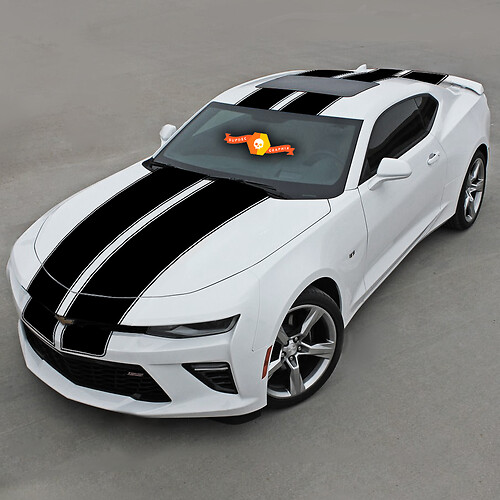 Chevrolet Camaro 2016- 2018 Haut Double Rayures Avec Fines Rayures
