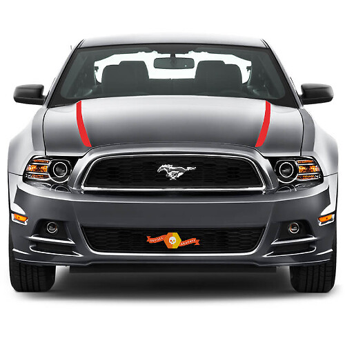 FORD MUSTANG 2013- 2020 BANDES LATÉRALES CAPOT SPEAR