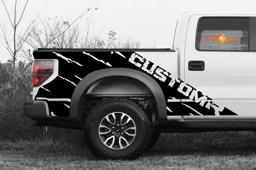 Autocollant vinyle personnalisé paire de côté de lit Predator pour Ford F-150 2010-2014