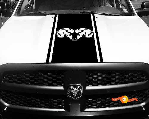 Dodge Ram 1500 Vinyle Decal HOOD Ram Head Racing HEMI Stripe Stickers #35
