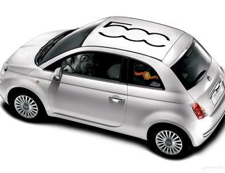 Fiat 500 vinyle Racing 500 Logo bande de toit autocollant autocollant vinyle autocollant
