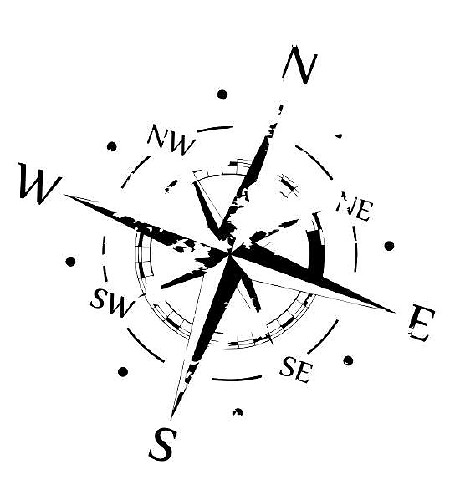 Autocollant Vinyle Graphique Noir Anti-Rayures pour Capot de Compass