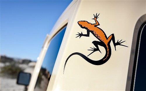 Ensemble d'autocollants en vinyle Mojave Gecko pour Jeep Wrangler
