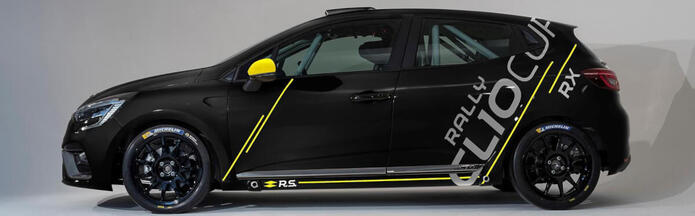Article: Autocollants Renault
